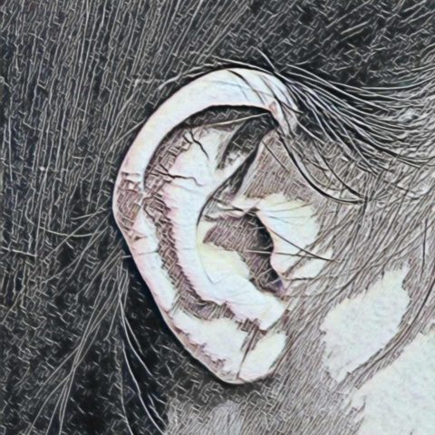 Tinnitus and Suicides